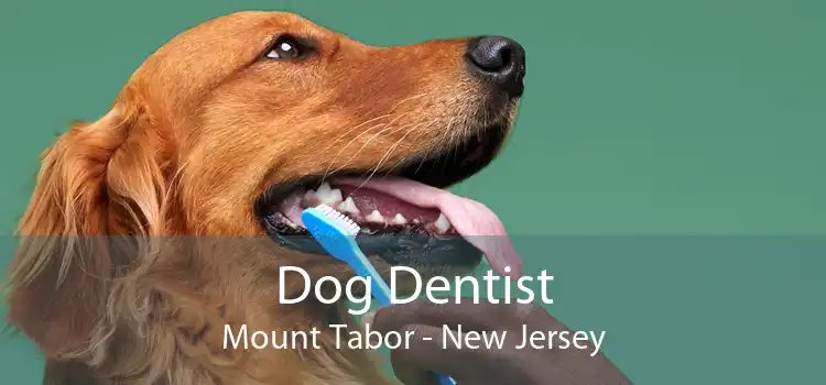 Dog Dentist Mount Tabor - New Jersey