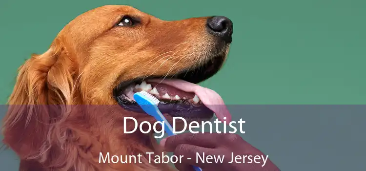Dog Dentist Mount Tabor - New Jersey