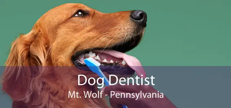 Dog Dentist Mt. Wolf - Pennsylvania