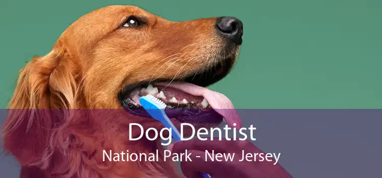 Dog Dentist National Park - New Jersey