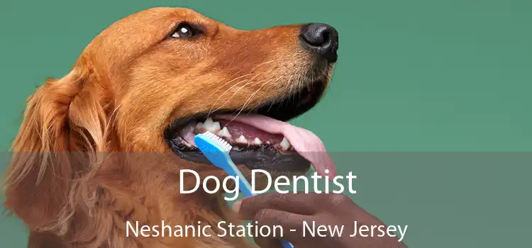 Dog Dentist Neshanic Station - New Jersey