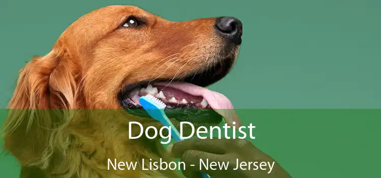 Dog Dentist New Lisbon - New Jersey