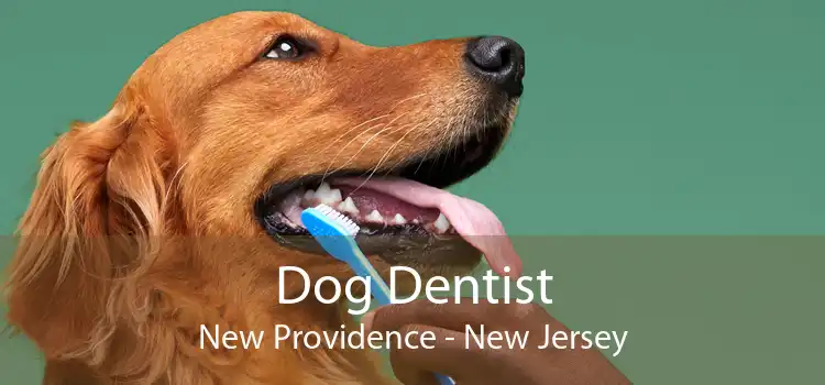 Dog Dentist New Providence - New Jersey