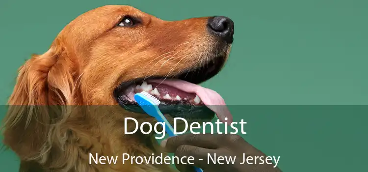 Dog Dentist New Providence - New Jersey