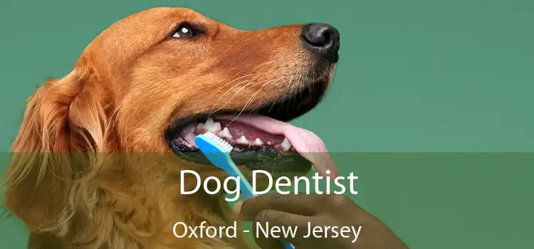 Dog Dentist Oxford - New Jersey