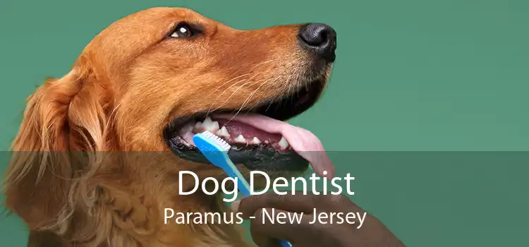 Dog Dentist Paramus - New Jersey
