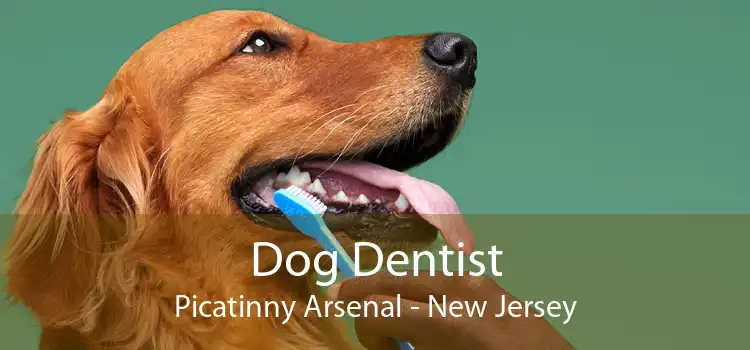Dog Dentist Picatinny Arsenal - New Jersey