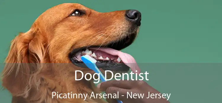 Dog Dentist Picatinny Arsenal - New Jersey