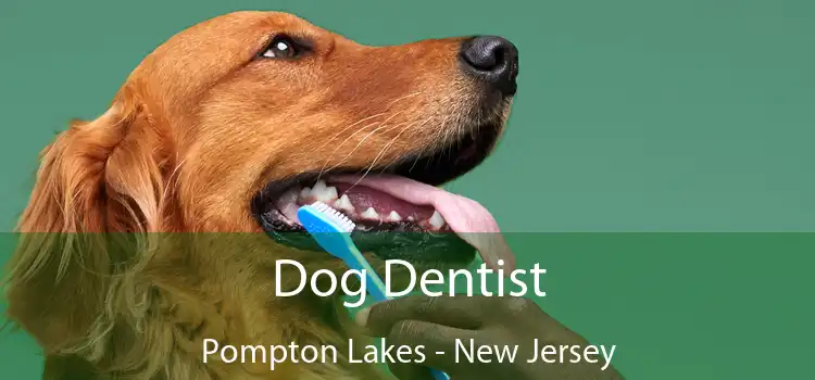Dog Dentist Pompton Lakes - New Jersey