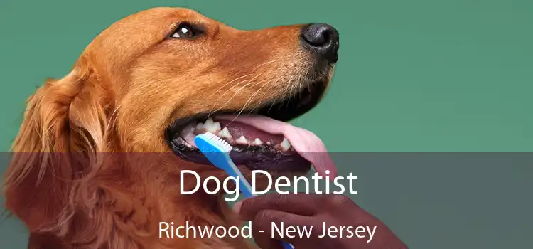 Dog Dentist Richwood - New Jersey