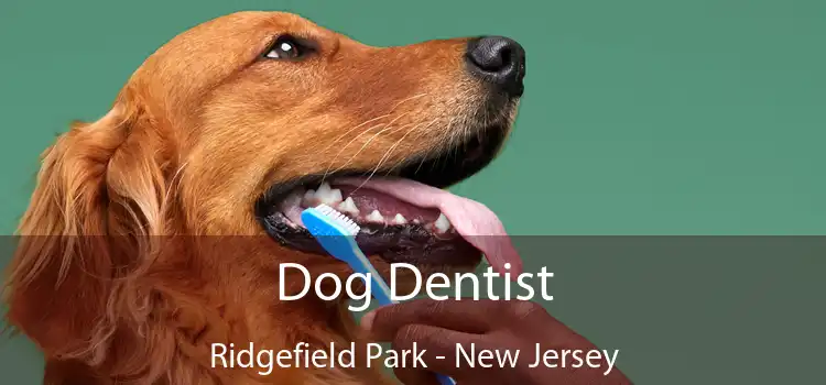 Dog Dentist Ridgefield Park - New Jersey