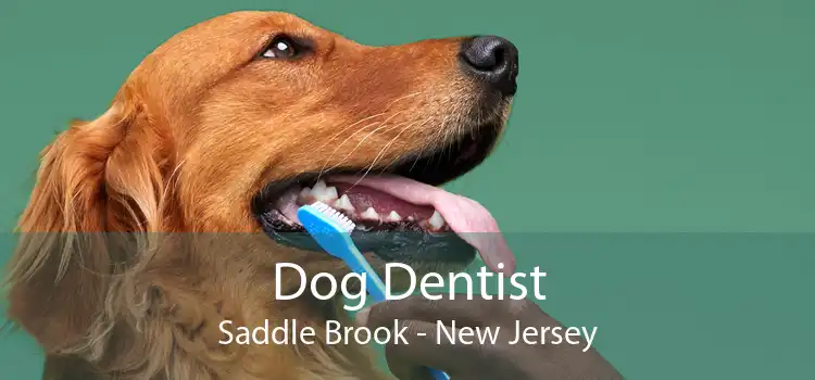 Dog Dentist Saddle Brook - New Jersey