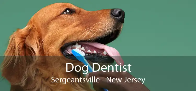 Dog Dentist Sergeantsville - New Jersey