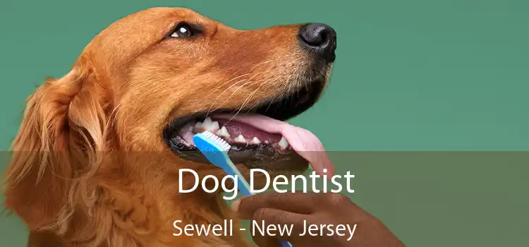 Dog Dentist Sewell - New Jersey