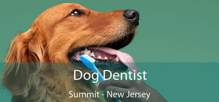 Dog Dentist Summit - New Jersey