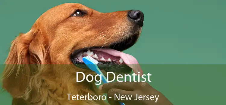 Dog Dentist Teterboro - New Jersey