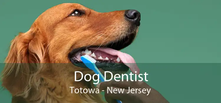 Dog Dentist Totowa - New Jersey