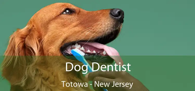 Dog Dentist Totowa - New Jersey