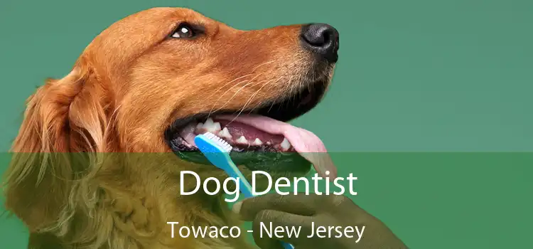 Dog Dentist Towaco - New Jersey
