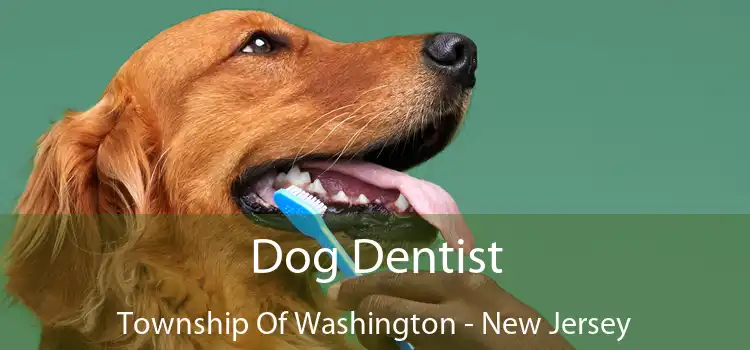 Dog Dentist Township Of Washington - New Jersey