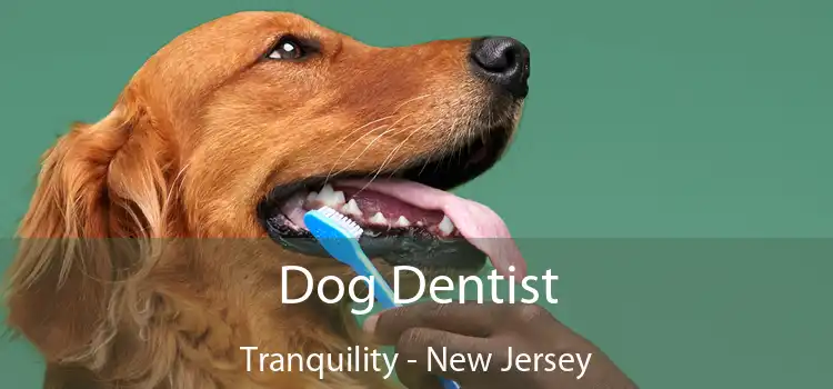 Dog Dentist Tranquility - New Jersey