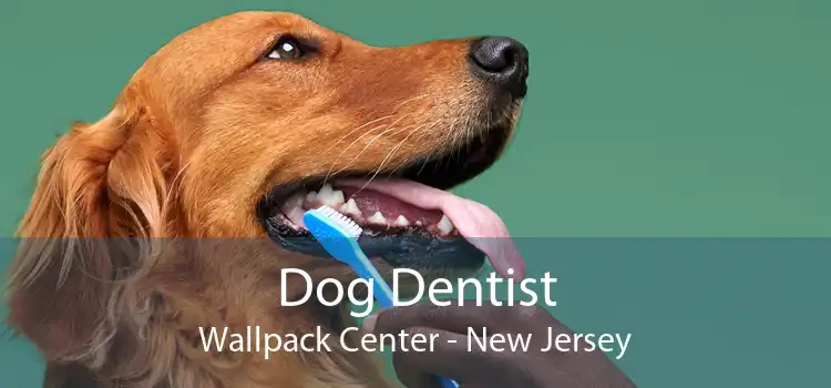Dog Dentist Wallpack Center - New Jersey