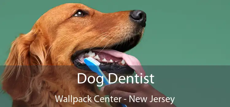 Dog Dentist Wallpack Center - New Jersey