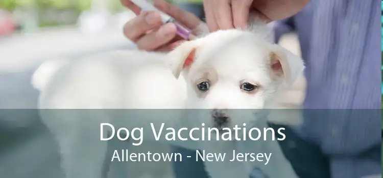 Dog Vaccinations Allentown - New Jersey
