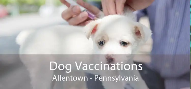 Dog Vaccinations Allentown - Pennsylvania