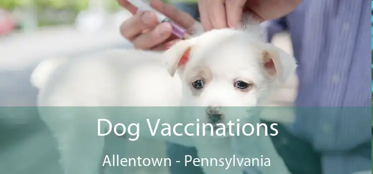 Dog Vaccinations Allentown - Pennsylvania