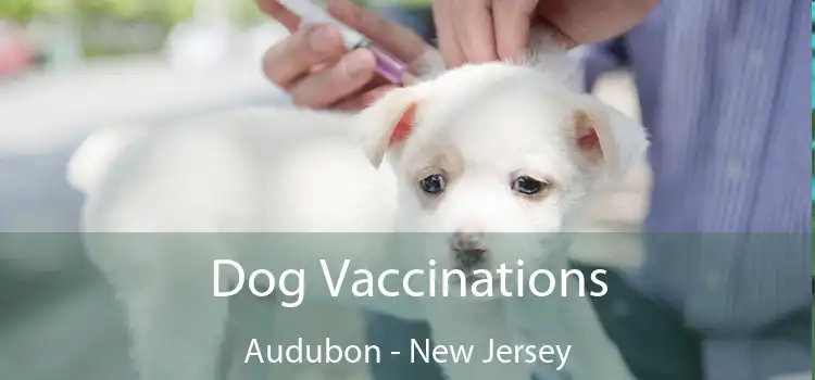 Dog Vaccinations Audubon - New Jersey