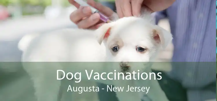 Dog Vaccinations Augusta - New Jersey