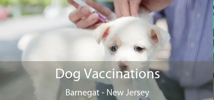 Dog Vaccinations Barnegat - New Jersey