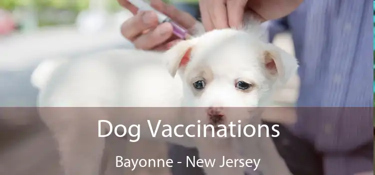 Dog Vaccinations Bayonne - New Jersey