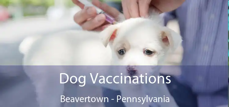 Dog Vaccinations Beavertown - Pennsylvania
