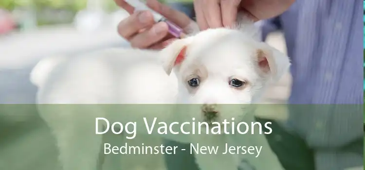 Dog Vaccinations Bedminster - New Jersey