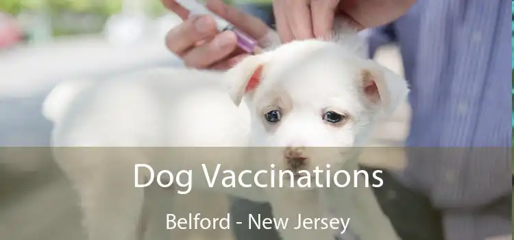 Dog Vaccinations Belford - New Jersey