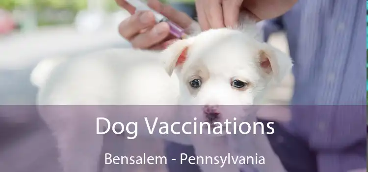 Dog Vaccinations Bensalem - Pennsylvania