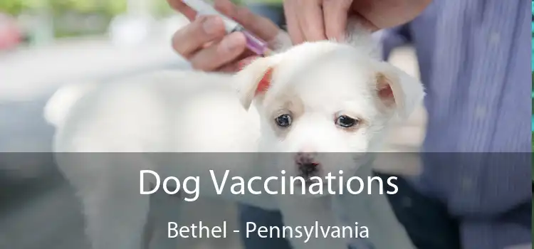 Dog Vaccinations Bethel - Pennsylvania