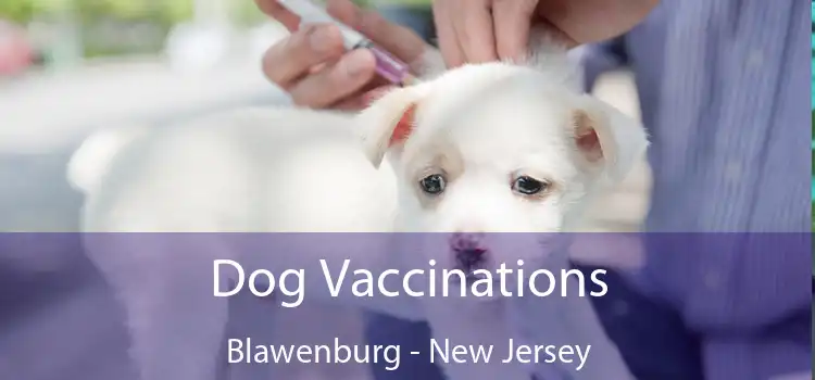 Dog Vaccinations Blawenburg - New Jersey