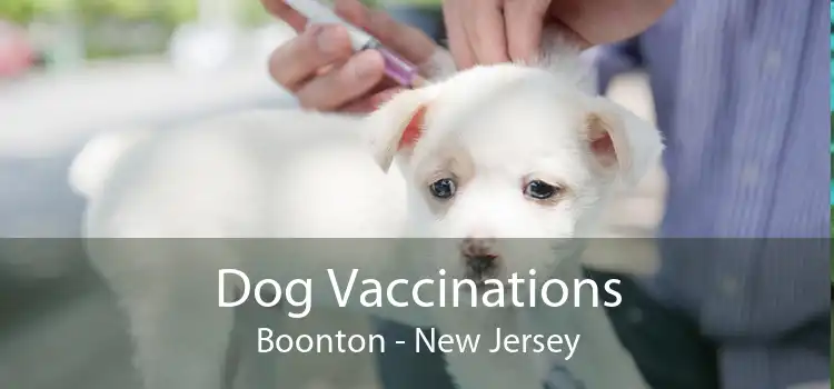 Dog Vaccinations Boonton - New Jersey