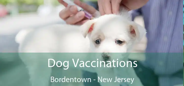 Dog Vaccinations Bordentown - New Jersey