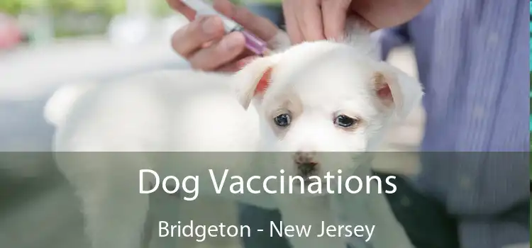 Dog Vaccinations Bridgeton - New Jersey