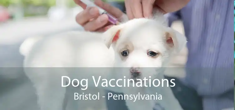 Dog Vaccinations Bristol - Pennsylvania