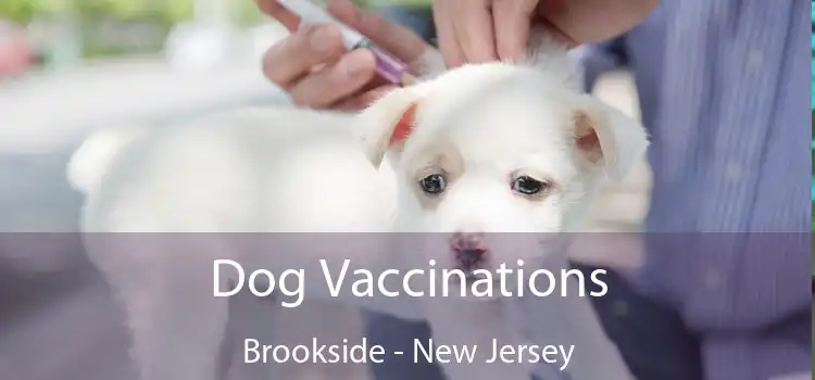 Dog Vaccinations Brookside - New Jersey