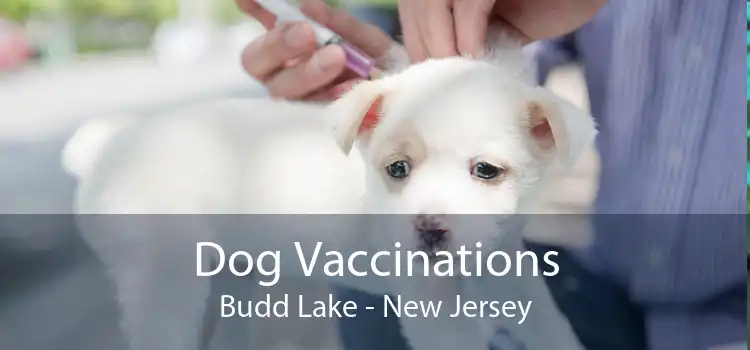 Dog Vaccinations Budd Lake - New Jersey