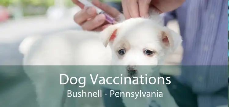 Dog Vaccinations Bushnell - Pennsylvania