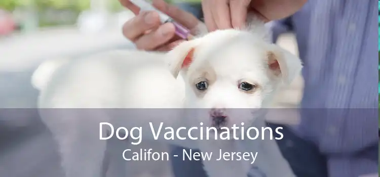 Dog Vaccinations Califon - New Jersey