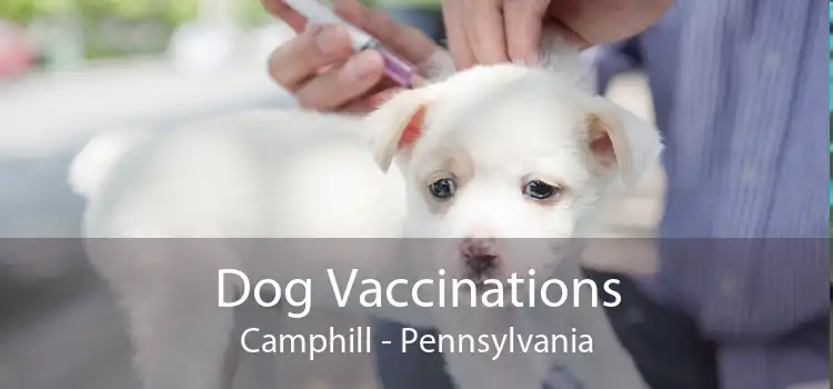Dog Vaccinations Camphill - Pennsylvania
