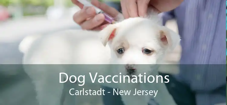 Dog Vaccinations Carlstadt - New Jersey